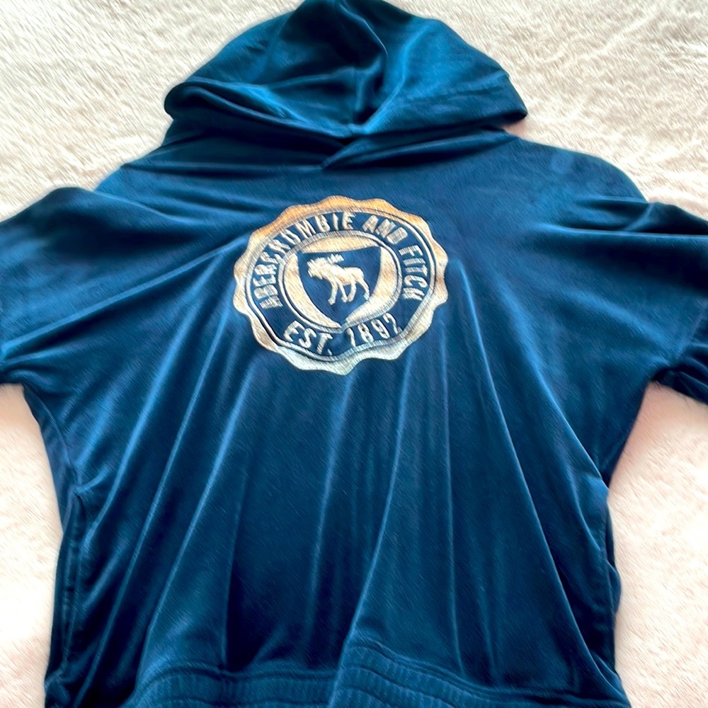 Abercrombie velvet hoodie